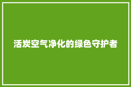 活炭空气净化的绿色守护者