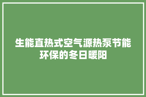 生能直热式空气源热泵节能环保的冬日暖阳