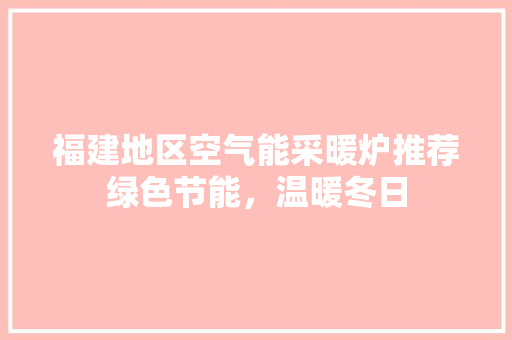 福建地区空气能采暖炉推荐绿色节能，温暖冬日