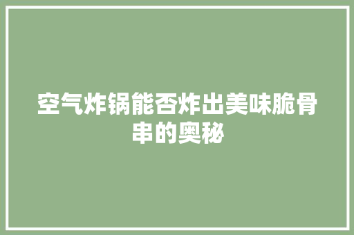 空气炸锅能否炸出美味脆骨串的奥秘