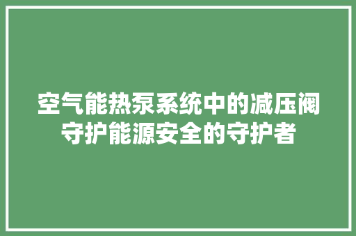 空气能热泵系统中的减压阀守护能源安全的守护者