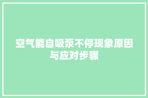 空气能自吸泵不停现象原因与应对步骤 汽车维修