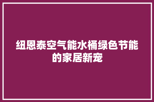 纽恩泰空气能水桶绿色节能的家居新宠