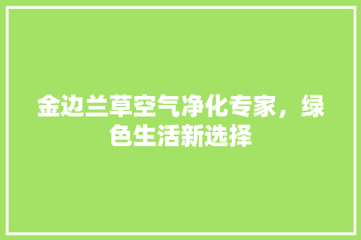 金边兰草空气净化专家，绿色生活新选择 厨房维修