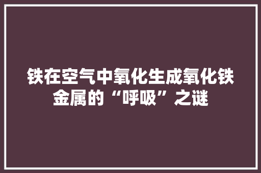 铁在空气中氧化生成氧化铁金属的“呼吸”之谜 厨房维修