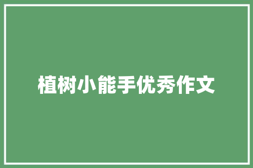 农行装修贷款，助力家居焕新，开启美好生活新篇章 农行装修贷款，助力家居焕新，开启美好生活新篇章 厨房维修
