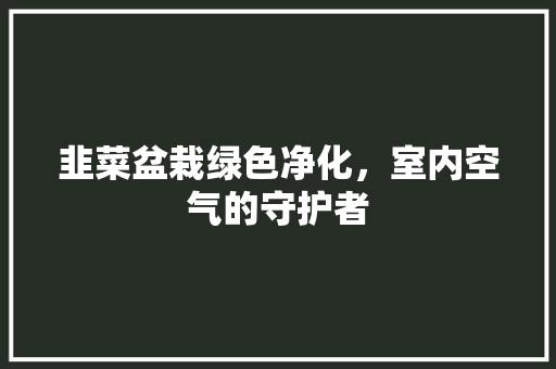 韭菜盆栽绿色净化，室内空气的守护者
