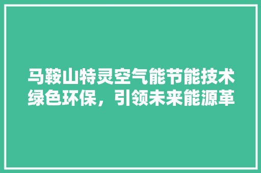 马鞍山特灵空气能节能技术绿色环保，引领未来能源革命 家电维修