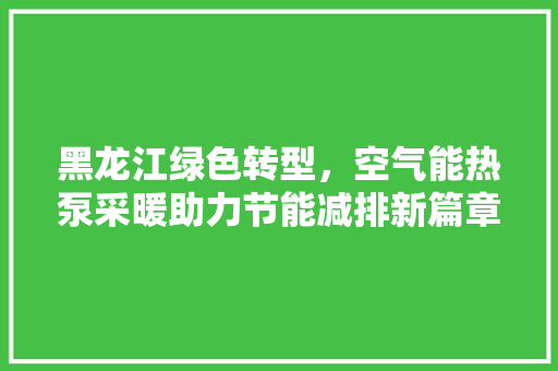 黑龙江绿色转型，空气能热泵采暖助力节能减排新篇章 墙体维修
