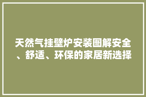 天然气挂壁炉安装图解安全、舒适、环保的家居新选择 综合便民