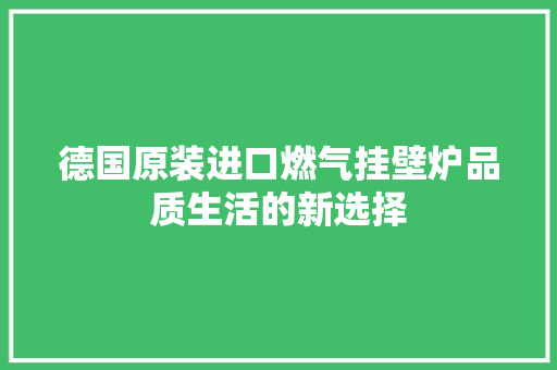 德国原装进口燃气挂壁炉品质生活的新选择 墙体维修