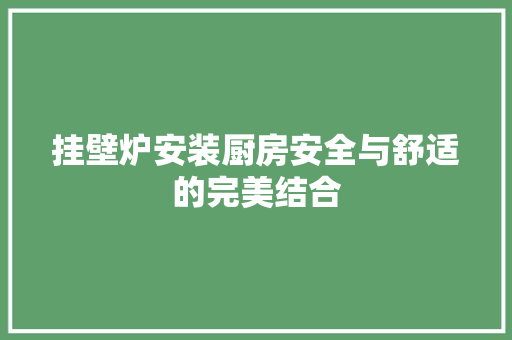 挂壁炉安装厨房安全与舒适的完美结合