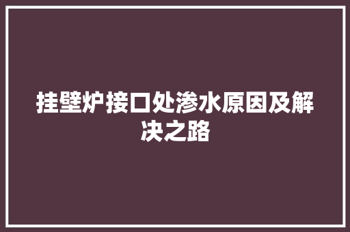 挂壁炉接口处渗水原因及解决之路 厨房维修