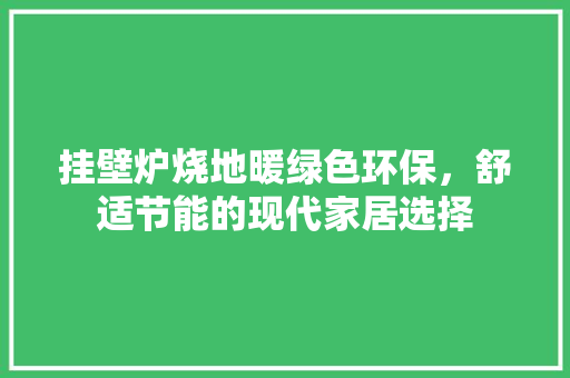 挂壁炉烧地暖绿色环保，舒适节能的现代家居选择 墙体维修