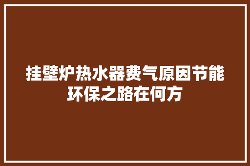 挂壁炉热水器费气原因节能环保之路在何方 厨房维修