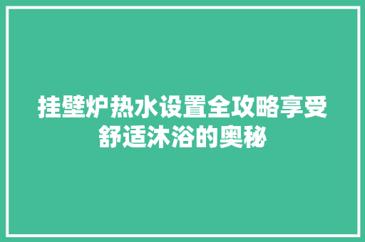 挂壁炉热水设置全攻略享受舒适沐浴的奥秘 家电维修