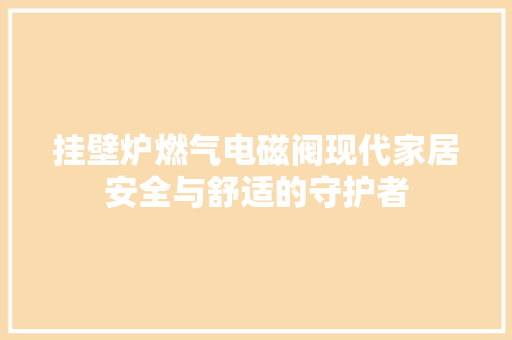 挂壁炉燃气电磁阀现代家居安全与舒适的守护者 汽车维修