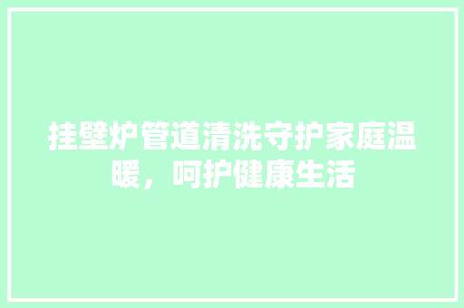 挂壁炉管道清洗守护家庭温暖，呵护健康生活