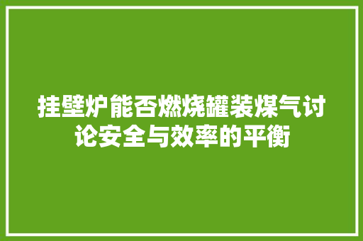 挂壁炉能否燃烧罐装煤气讨论安全与效率的平衡