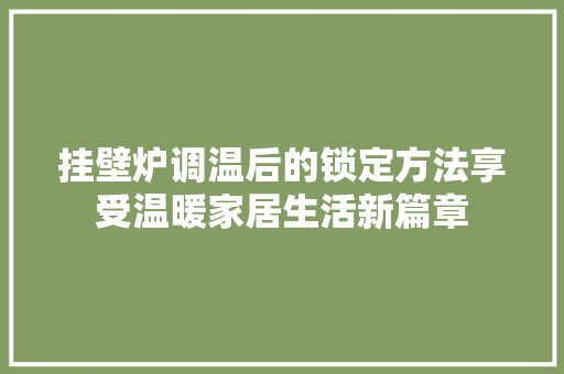 挂壁炉调温后的锁定方法享受温暖家居生活新篇章