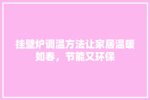 挂壁炉调温方法让家居温暖如春，节能又环保