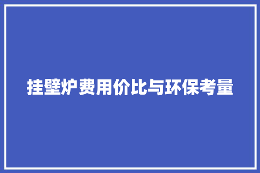 挂壁炉费用价比与环保考量