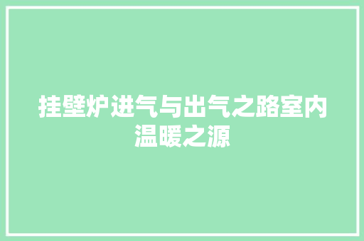 挂壁炉进气与出气之路室内温暖之源