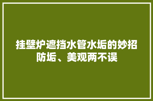挂壁炉遮挡水管水垢的妙招防垢、美观两不误
