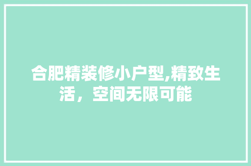 合肥精装修小户型,精致生活，空间无限可能 合肥精装修小户型,精致生活，空间无限可能 汽车维修