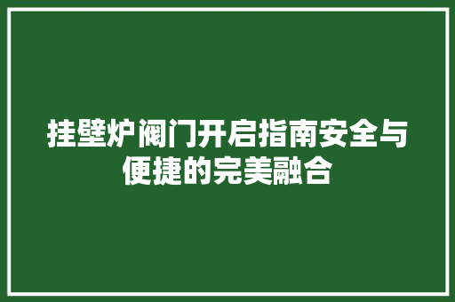 挂壁炉阀门开启指南安全与便捷的完美融合