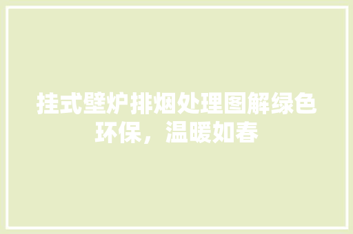 挂式壁炉排烟处理图解绿色环保，温暖如春