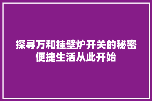 探寻万和挂壁炉开关的秘密便捷生活从此开始
