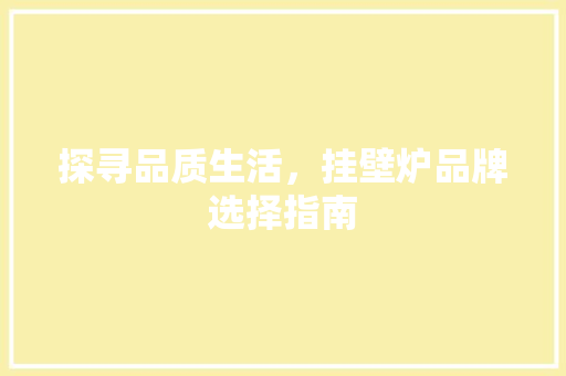 探寻品质生活，挂壁炉品牌选择指南