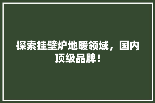 探索挂壁炉地暖领域，国内顶级品牌！