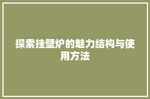 探索挂壁炉的魅力结构与使用方法