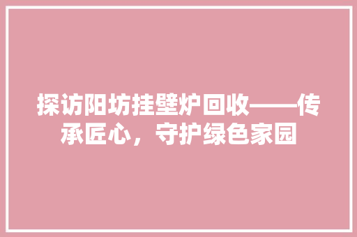 探访阳坊挂壁炉回收——传承匠心，守护绿色家园