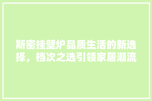 斯密挂壁炉品质生活的新选择，档次之选引领家居潮流