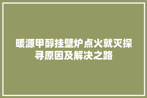 暖源甲醇挂壁炉点火就灭探寻原因及解决之路
