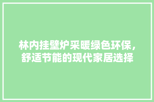 林内挂壁炉采暖绿色环保，舒适节能的现代家居选择
