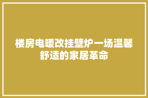 楼房电暖改挂壁炉一场温馨舒适的家居革命