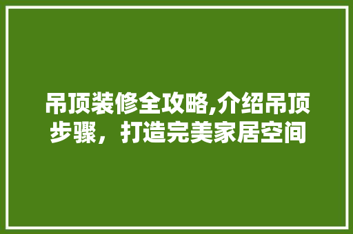 吊顶装修全攻略,介绍吊顶步骤，打造完美家居空间 吊顶装修全攻略,介绍吊顶步骤，打造完美家居空间 家电维修