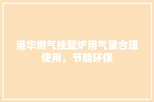 港华燃气挂壁炉用气量合理使用，节能环保