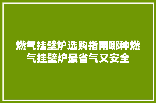 燃气挂壁炉选购指南哪种燃气挂壁炉最省气又安全