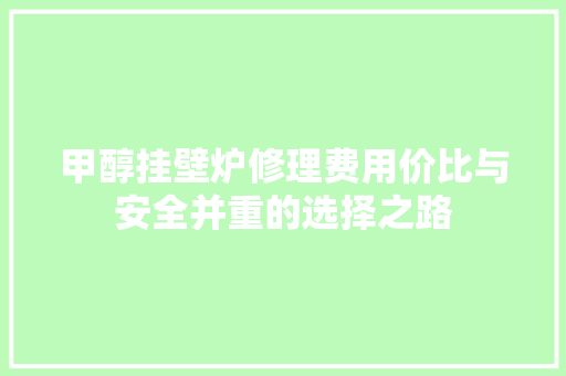 甲醇挂壁炉修理费用价比与安全并重的选择之路