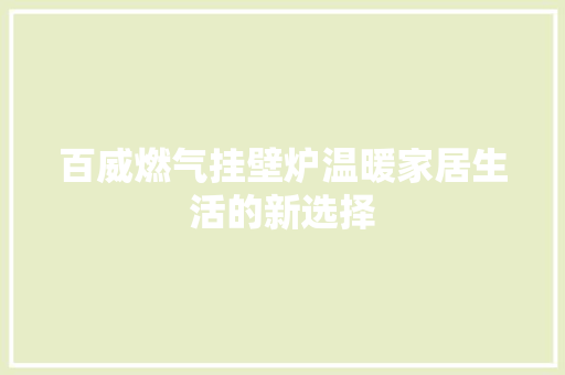 百威燃气挂壁炉温暖家居生活的新选择