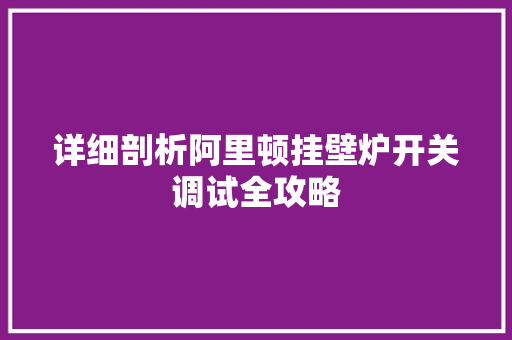详细剖析阿里顿挂壁炉开关调试全攻略