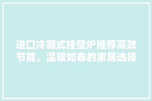 进口冷凝式挂壁炉推荐高效节能，温暖如春的家居选择 家电维修
