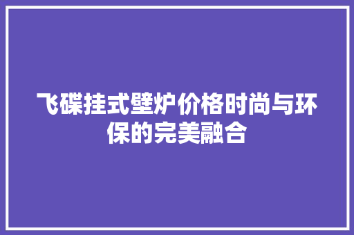 飞碟挂式壁炉价格时尚与环保的完美融合