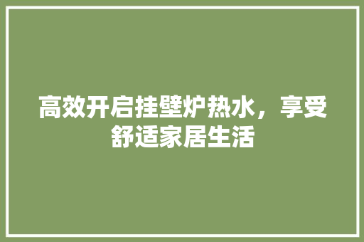 高效开启挂壁炉热水，享受舒适家居生活