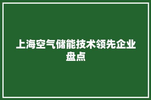 上海空气储能技术领先企业盘点